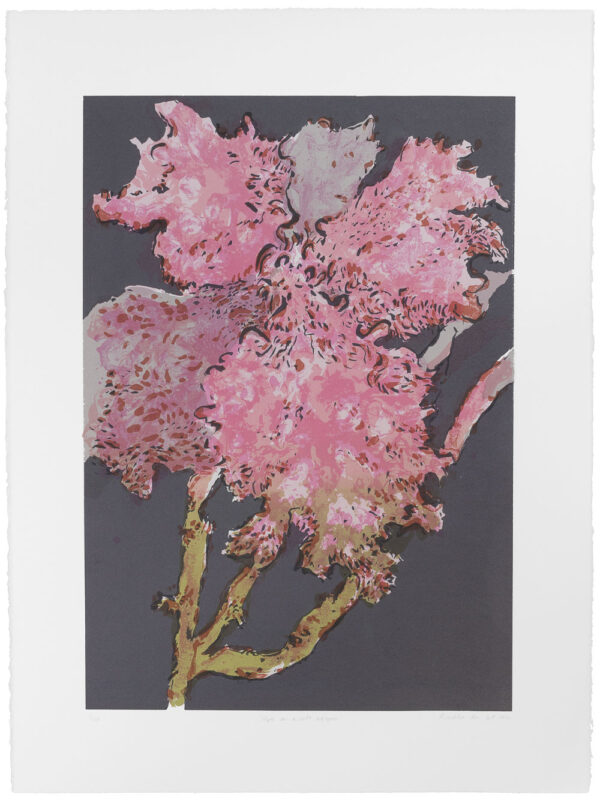 Hope as a soft weapon